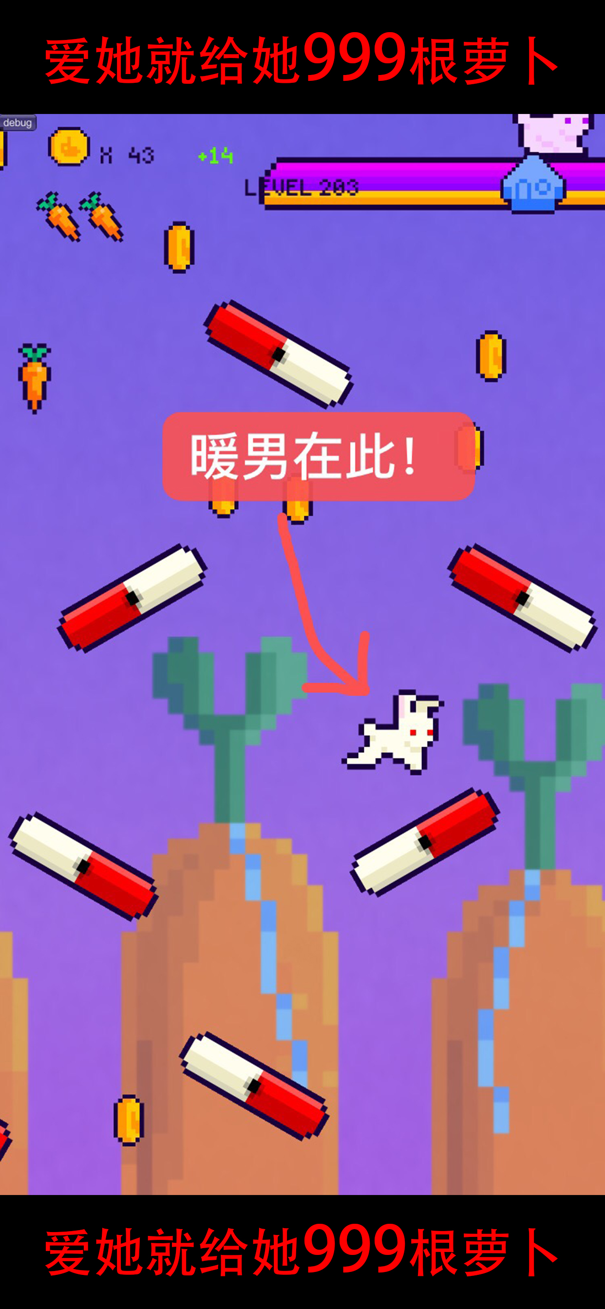 恩爱兔——999根萝卜游戏截图