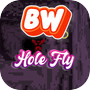 BW Hole Flyicon