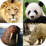 动物测验：了解所有哺乳动物、鸟类、爬行动物、鱼类和恐龙！