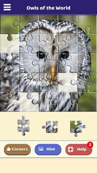 Owls of the World Puzzle游戏截图