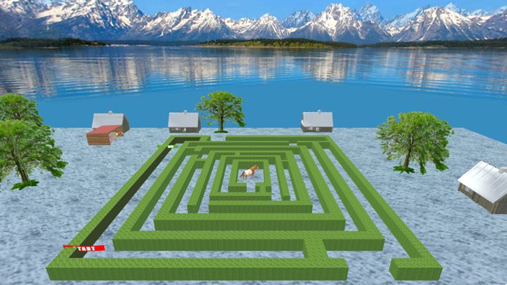 Horse Maze Run Challenge游戏截图