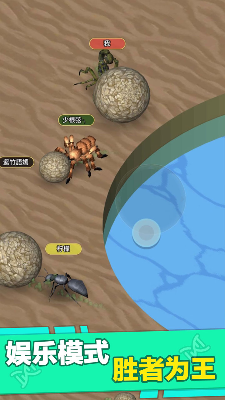 昆虫进化大乱斗游戏截图