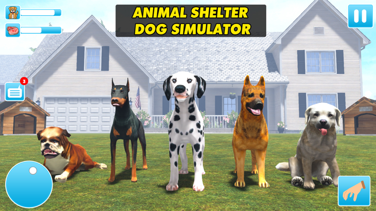 Animal Shelter Dog Rescue Game游戏截图