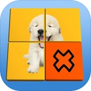 Flip Puzzle !!