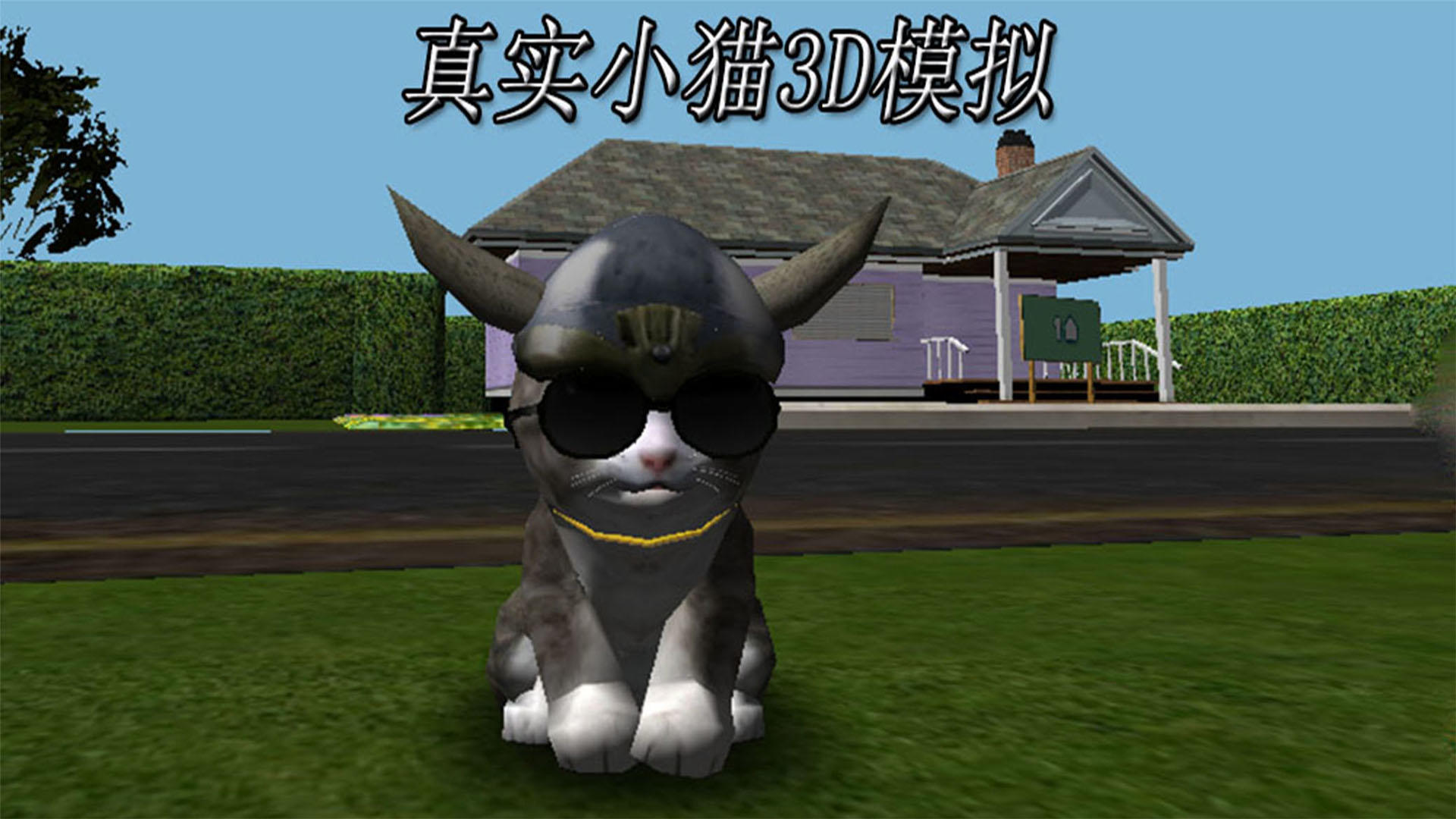 真实小猫3D模拟游戏截图