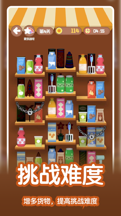 收纳达人 - 货柜收纳达人游戏截图