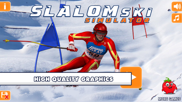 Slalom Ski Simulator游戏截图