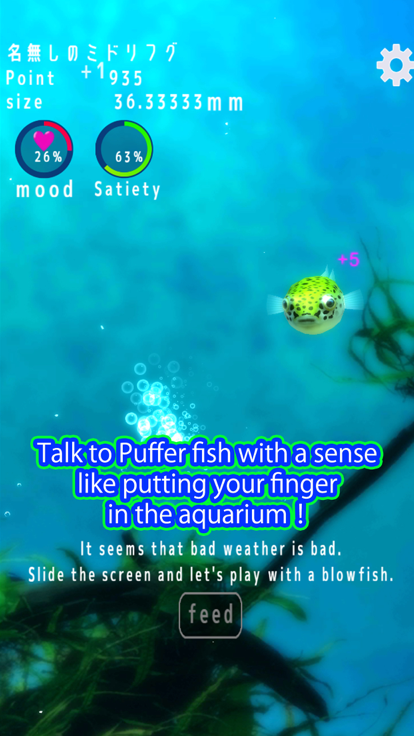 Playing with Puffer fish游戏截图