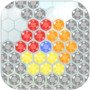 Jewel Carnival : New hexagon puzzle gameicon