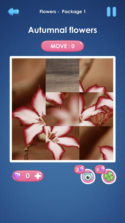 Slide Picture : Jigsaw Puzzle游戏截图