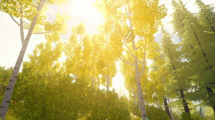 Wilderless 流浪荒野游戏截图