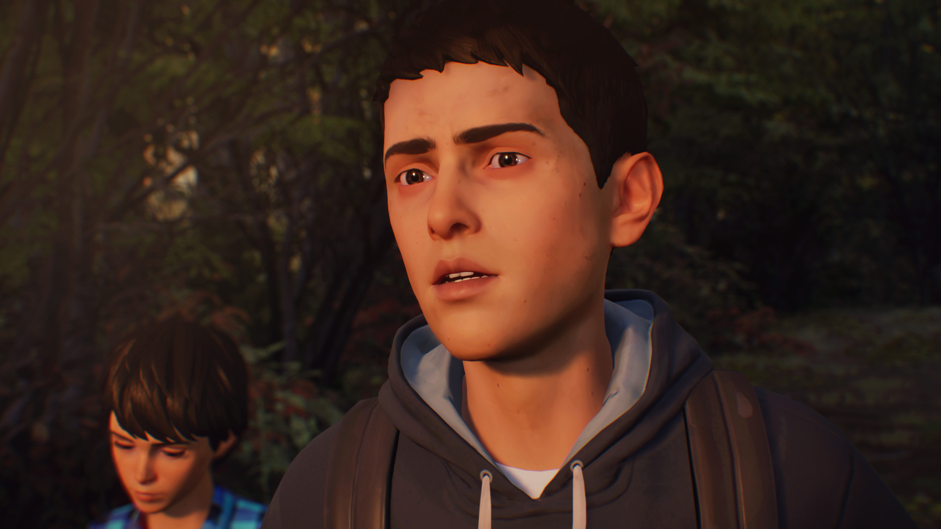 Life is Strange 2游戏截图