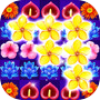 花朵绽放icon