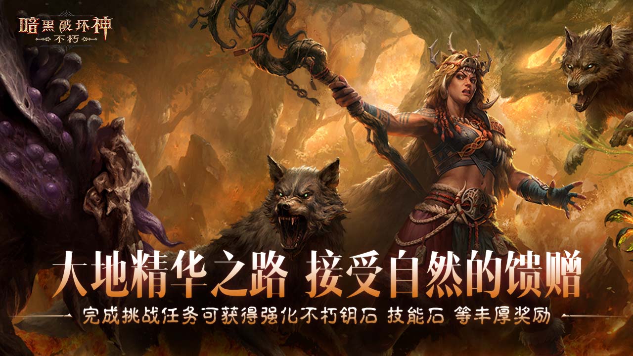 精华传承 遵循自然的指引