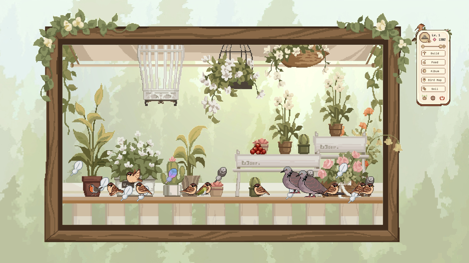 观鸟笔记游戏截图