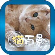 Aha-Experience Landscapes of the caticon