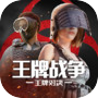 王牌战争icon