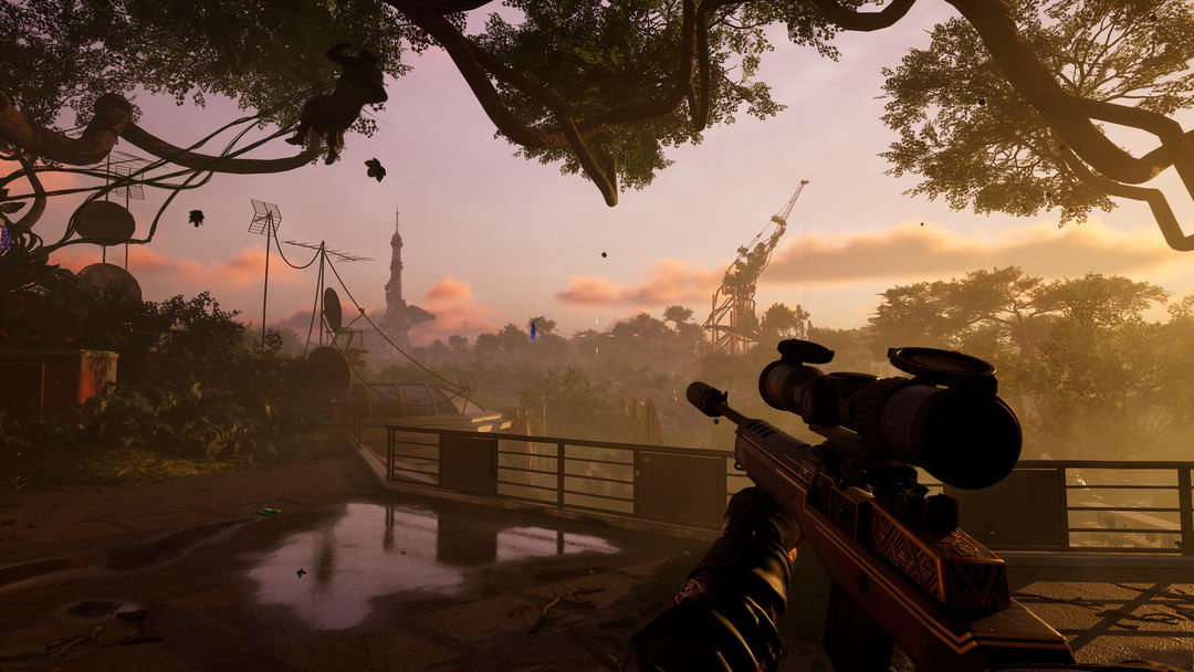 森林统治游戏截图