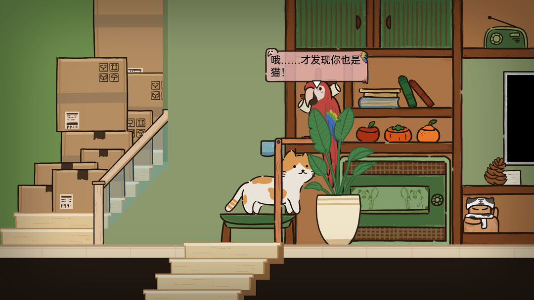 猫在家里游戏截图