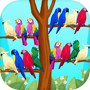 Bird Puzzle - Sorting Gamesicon