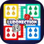 Ludonection Proicon