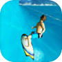 PEPI Surf - Freeicon