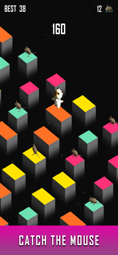 Zara Cat - New Games 2021游戏截图