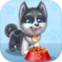 My Husky Dog Pet Daycareicon