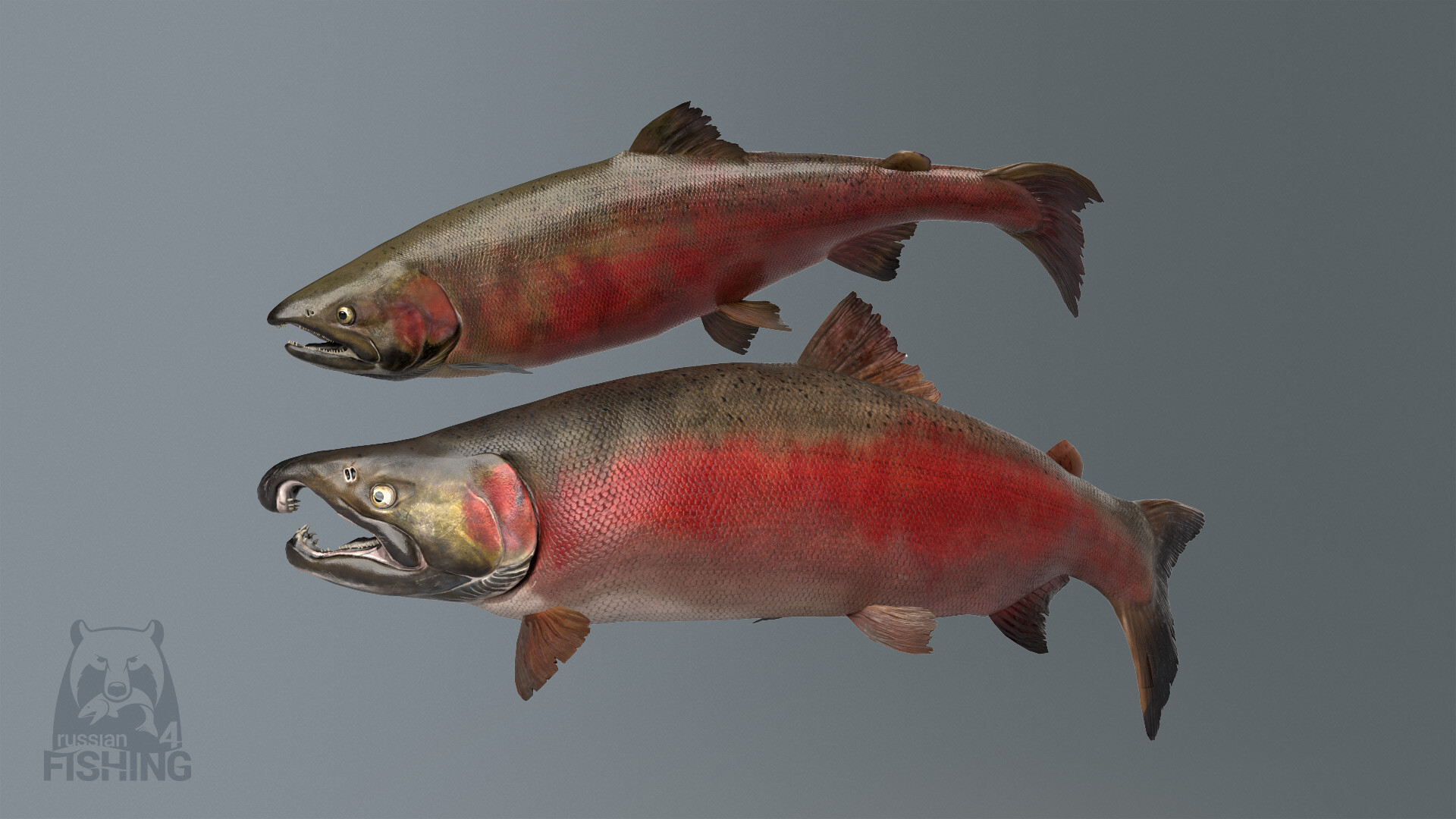 俄罗斯钓鱼 4游戏截图