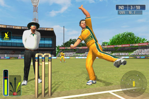 Cricket WorldCup Fever Deluxe游戏截图