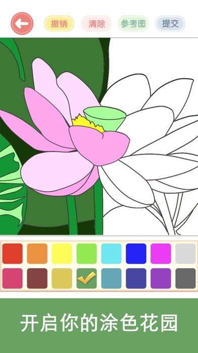 涂色花园—涂鸦减压休闲小游戏游戏截图
