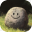 Stone Simulator – Just Be a Rock
