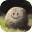 Stone Simulator – Just Be a Rockicon