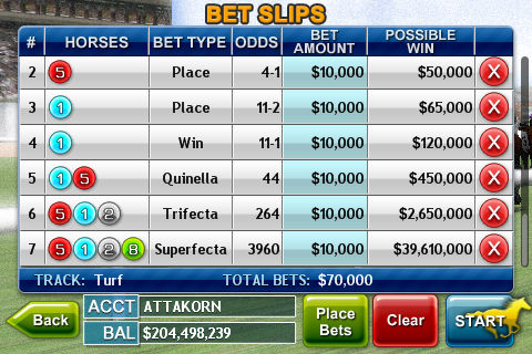 Virtual Horse Racing 3D游戏截图