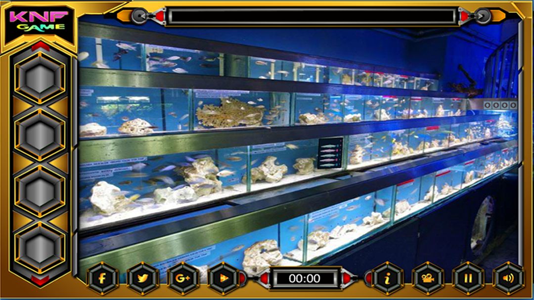 Can You Escape From Fish Shop游戏截图