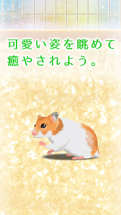 Hamster Game Free游戏截图