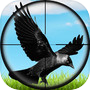 Real Jungle Birds Huntingicon