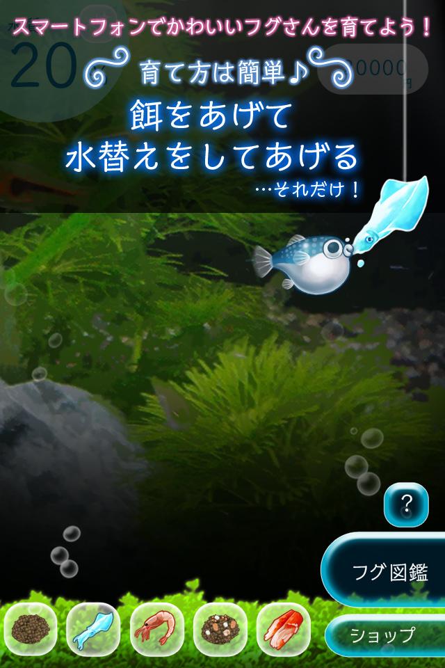 ぼくのフグさん水族館 【無料でかわいい育成ゲーム】游戏截图