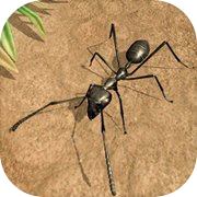 蚂蚁 昆虫 生命 生存 战争