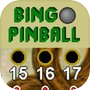 Bingo Pinball Dragon 宾果弹球龙icon