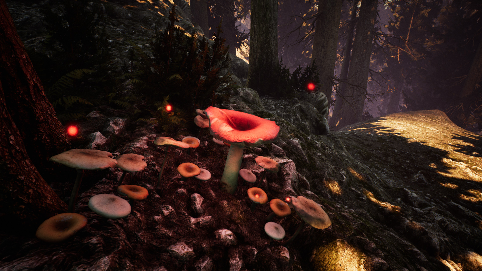 Nephise Begins游戏截图