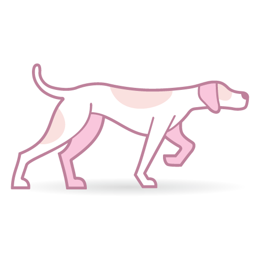 Pink Pointer