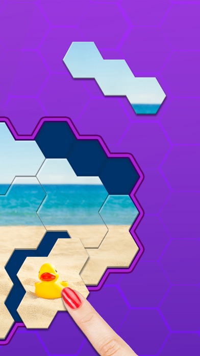Hexa Jigsaw Puzzle ®游戏截图