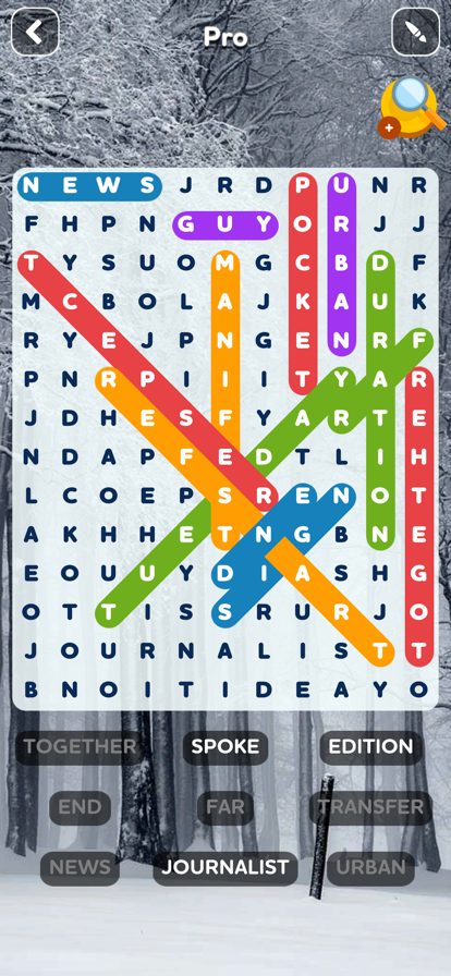 Word Search Quest Puzzles游戏截图