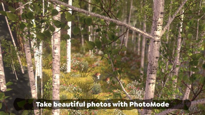 无尽旷野游戏截图