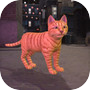 Kitty Stray-Cat Simulator Gameicon