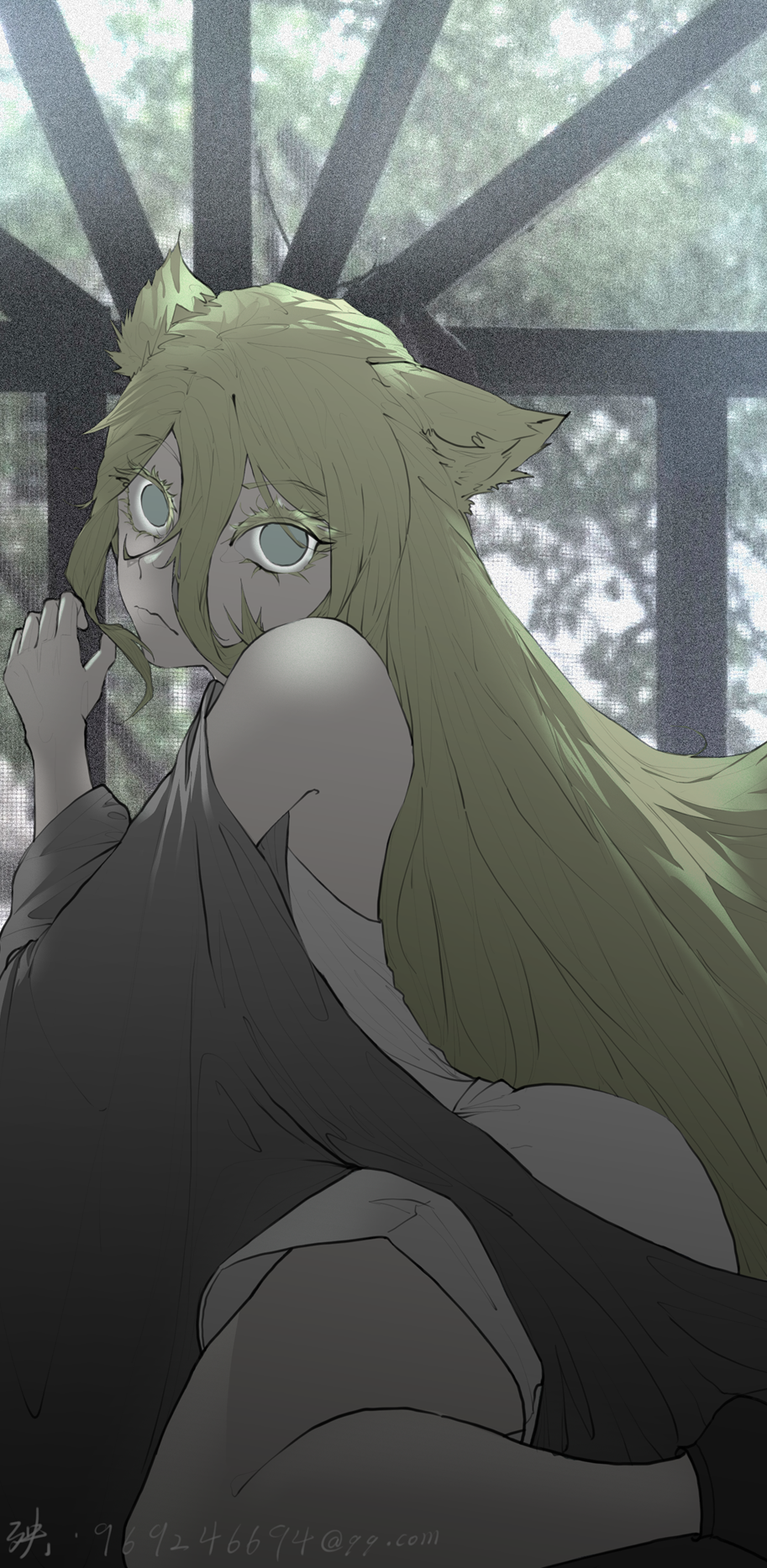 青鸟栖于故园枝游戏截图