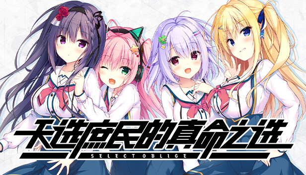 天选庶民的真命之选游戏截图