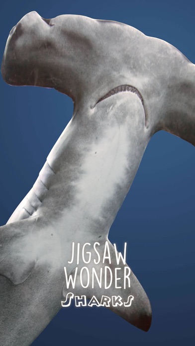 鲨鱼拼图为孩子们的拼图奇迹集游戏截图