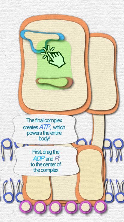 Powerhouse of the Cell游戏截图